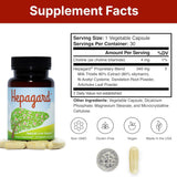 Hepagard - Natural Liver Support Supplement