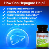 Hepagard - Natural Liver Support Supplement