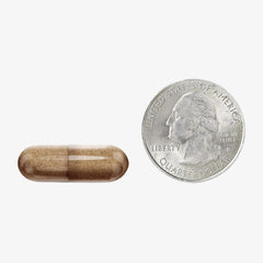NEURIVA Ultra Brain Supplements for Memory and Focus 60 Count Capsules