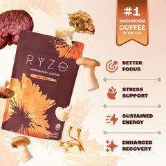 RYZE Mushroom Coffee 6 Adaptogenic Mushrooms Organic Instant Coffee