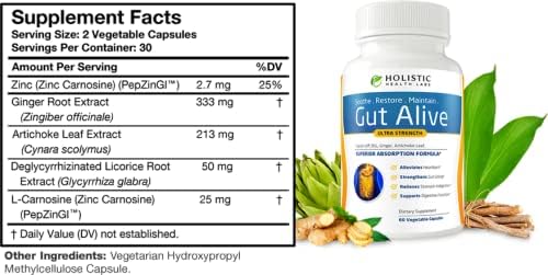 Gut Health Support Digestive Wellness Formula Supplement Capsules 60 Count