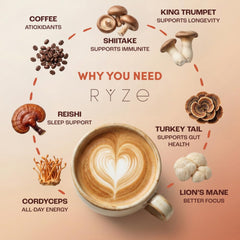 RYZE Mushroom Coffee 6 Adaptogenic Mushrooms Organic Instant Coffee