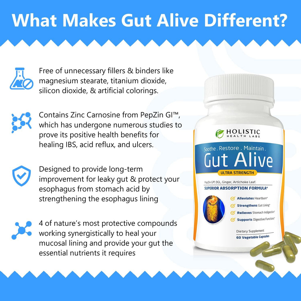 Gut Health Support Digestive Wellness Formula Supplement Capsules 60 Count