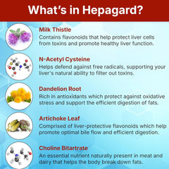 Hepagard - Natural Liver Support Supplement