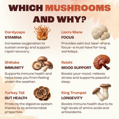 RYZE Mushroom Coffee 6 Adaptogenic Mushrooms Organic Instant Coffee