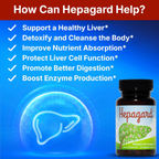 Hepagard - Natural Liver Support Supplement